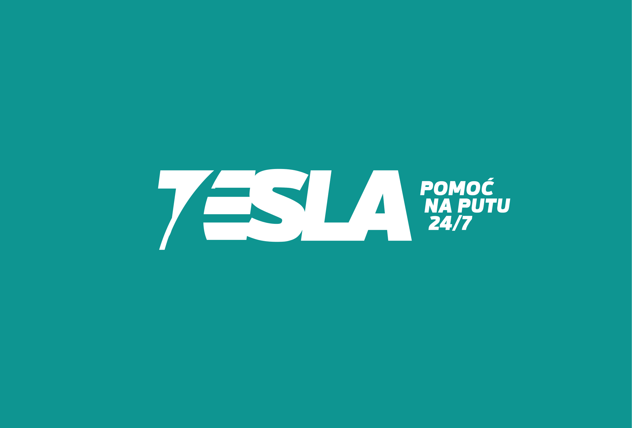 Tesla partner